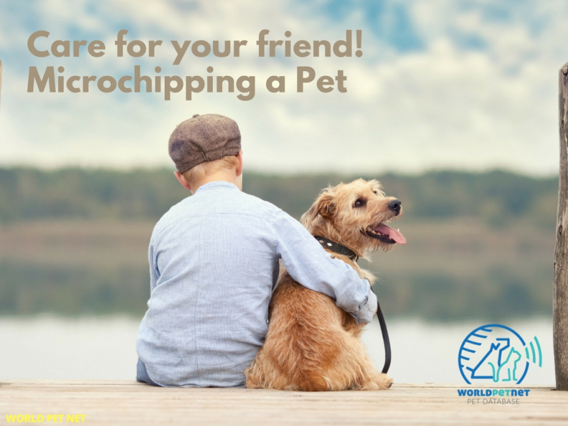 Eine einfache und wirksame Methode der Anmeldung der Tiere